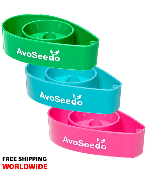 AvoSeedo 3-Pack