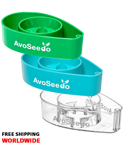 AvoSeedo 3-Pack