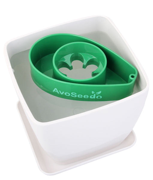 - AvoSeedo Plant Pot Set -