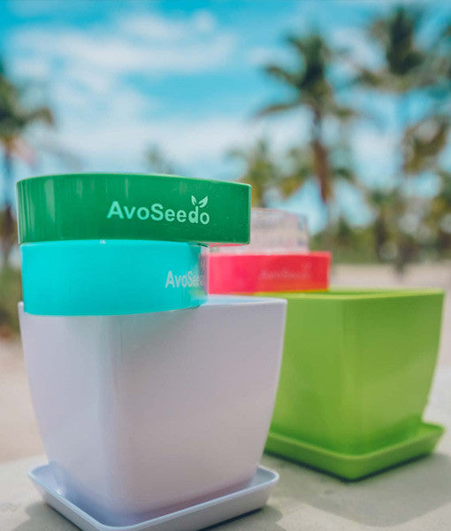 - AvoSeedo Plant Pot Set -